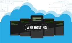 Hosting Nedir?